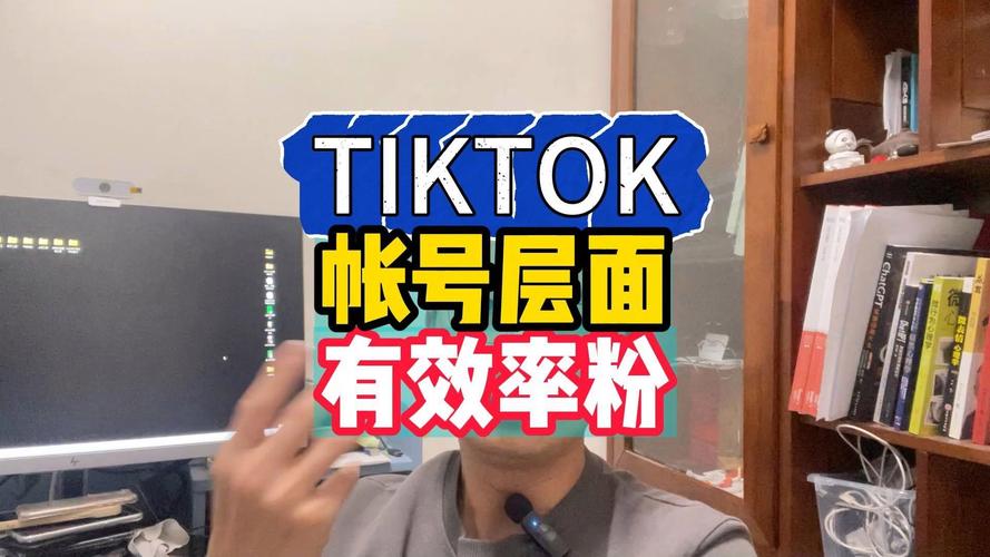 tiktok刷粉平台